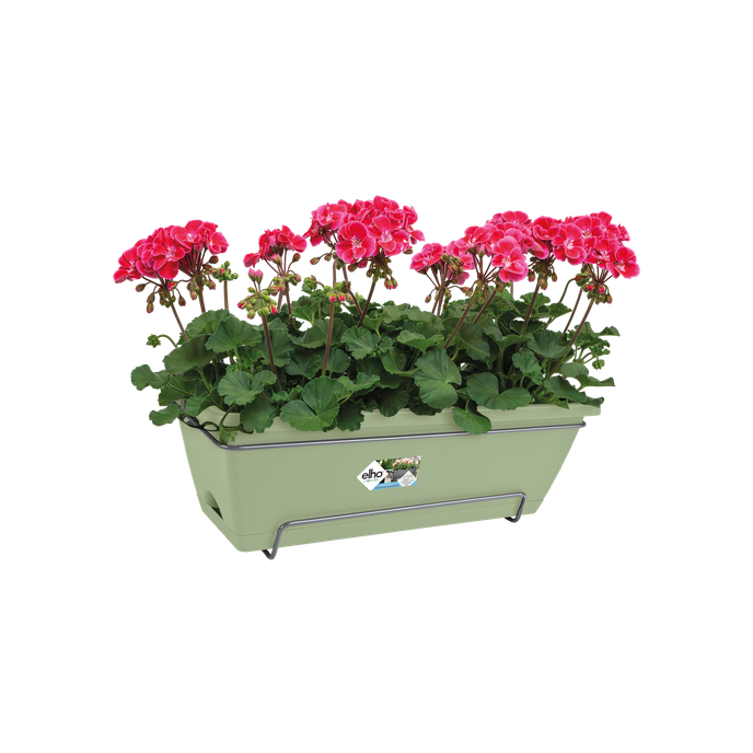 barcelona allin1 50cm pistazien grün